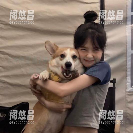 冲哥精选的每日黑料，直达背后那些光鲜亮丽的泰迪们。