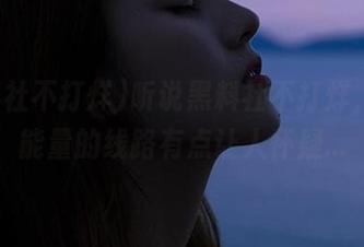听说黑料社不打烊，这正能量的线路有点让人怀疑...