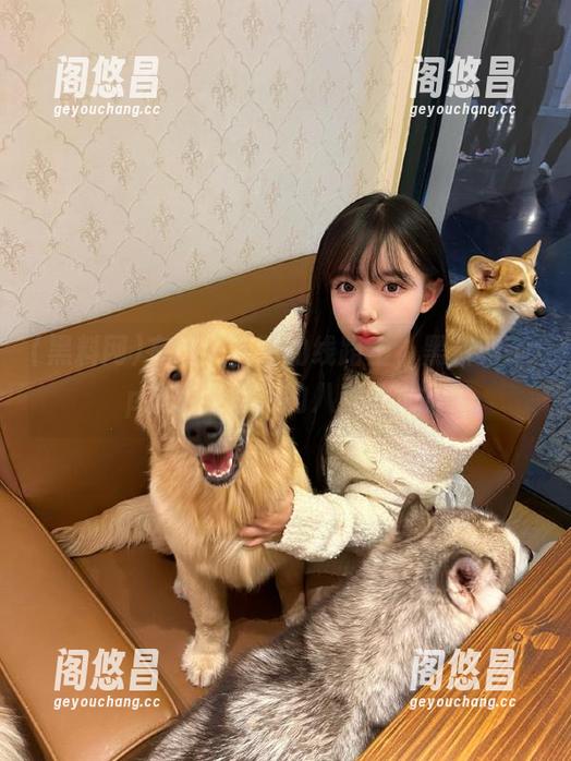 在这个疯狂的线路上，黑料网app成了我潜伏的八卦基地？